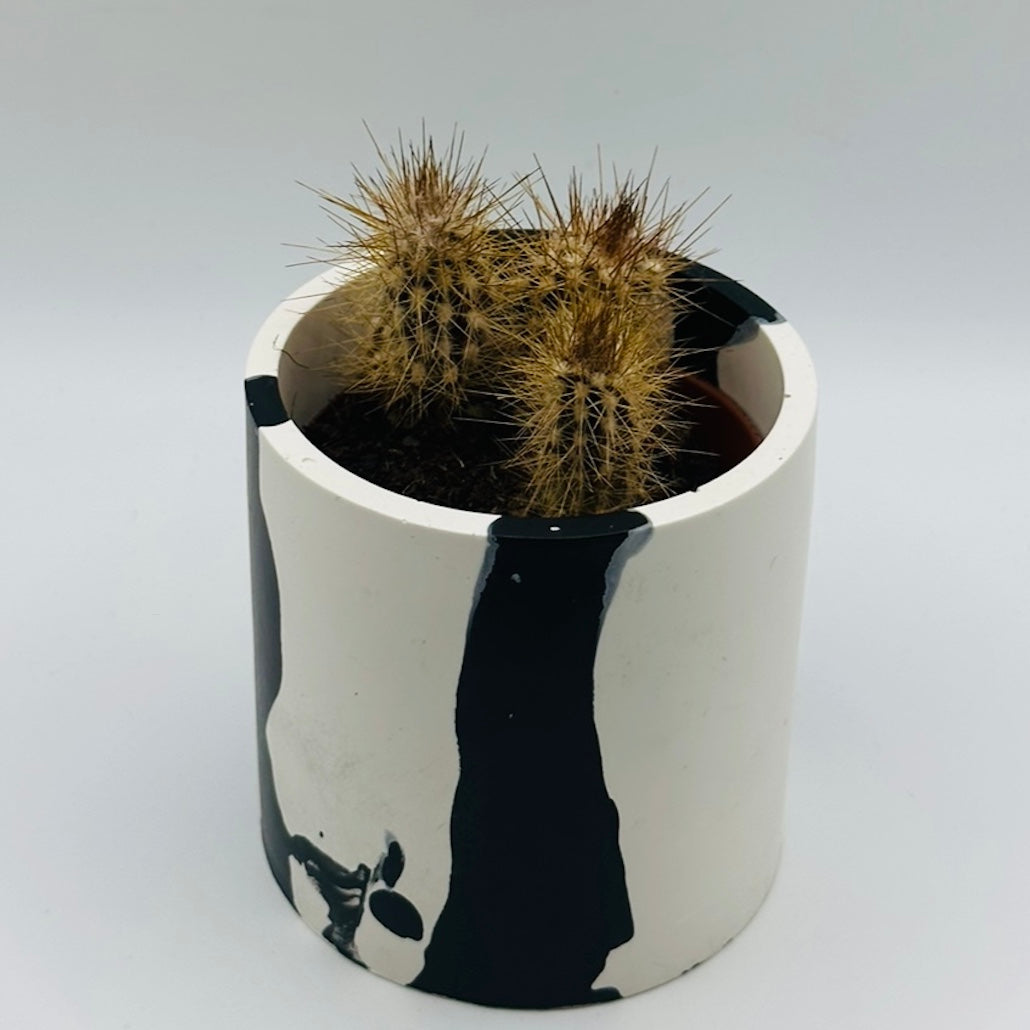 Pot - Graffiti - Black & White