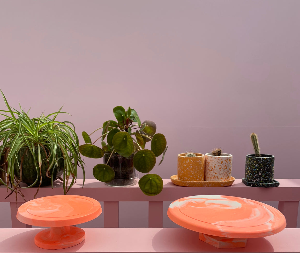 Cake Plate - Small - Neon 1