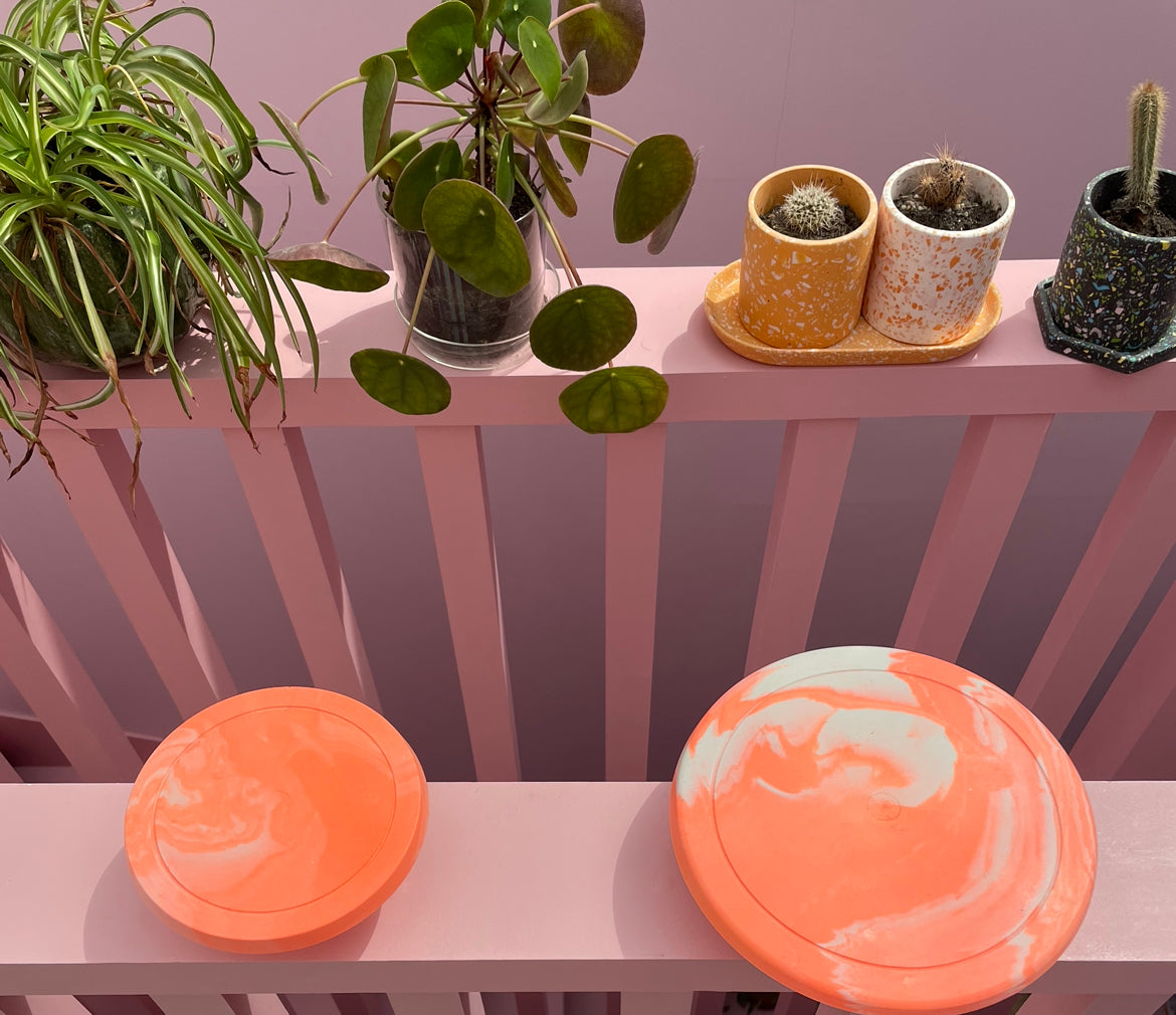 Cake Plate - Small - Neon 1